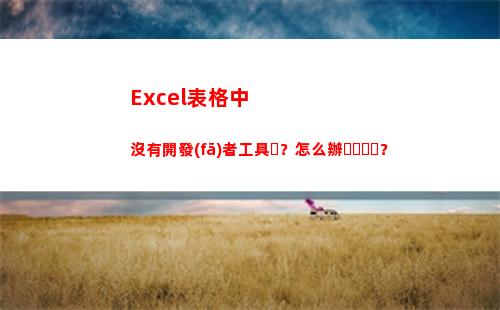 Excel表格中沒有開發(fā)者工具？怎么辦？(excel表格中身份證號怎樣全部顯示)